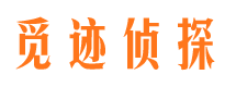 林芝市私人侦探